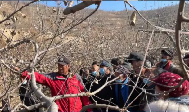金年会-金年会（中国）一站式体育服务平台
在静宁帮扶村开展冬季果园管理培训(图5)